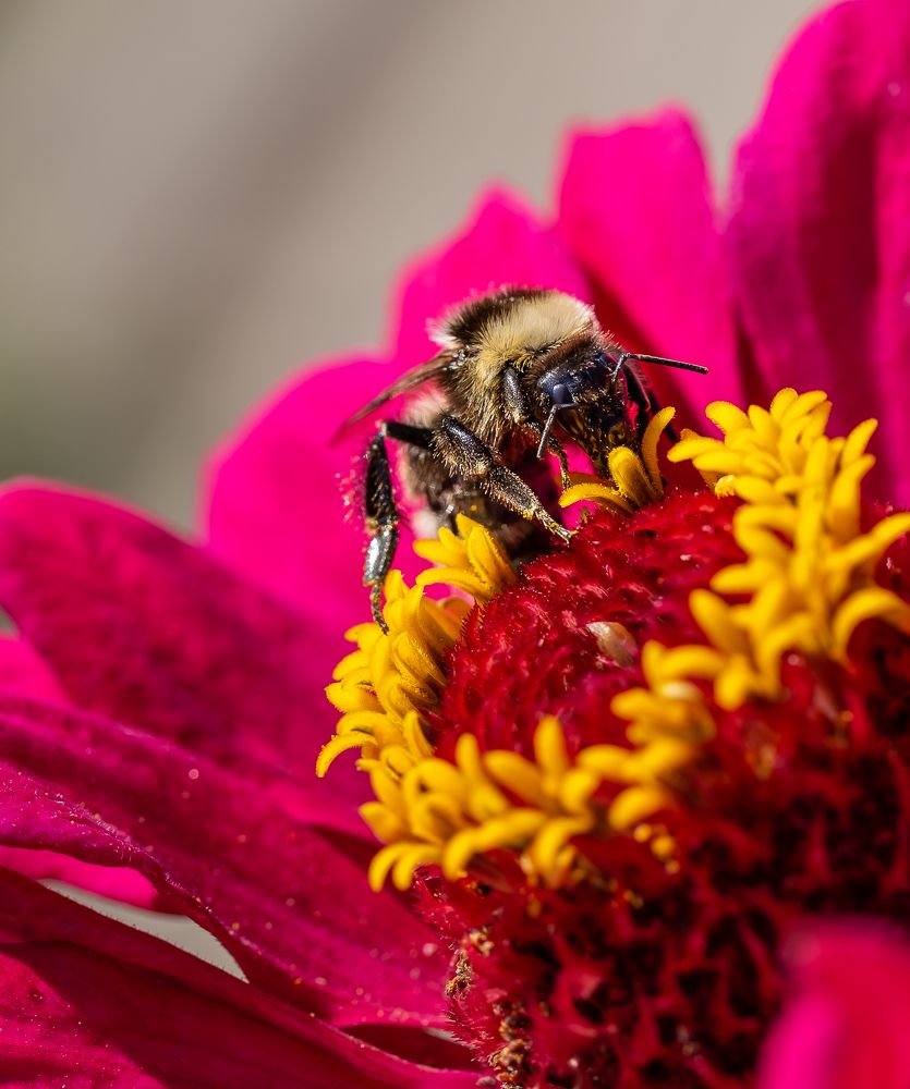 Photograph by Марина Новожилова