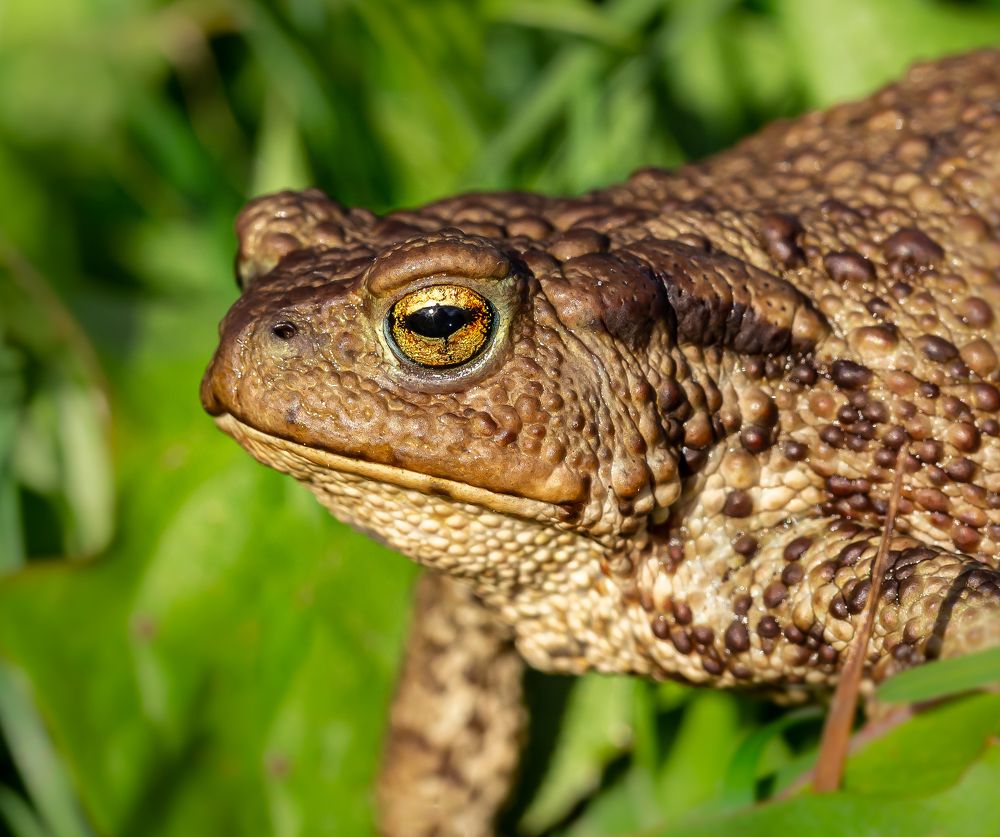 Photograph by Марина Новожилова