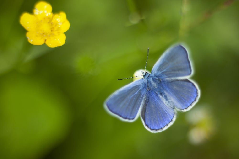 Photograph by Ольга Резникова