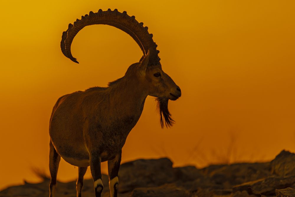 Фотография автора Nikolay Tatarchuk