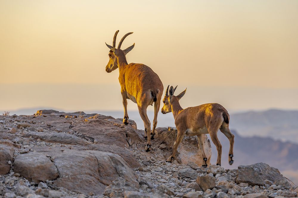 Фотография автора Nikolay Tatarchuk