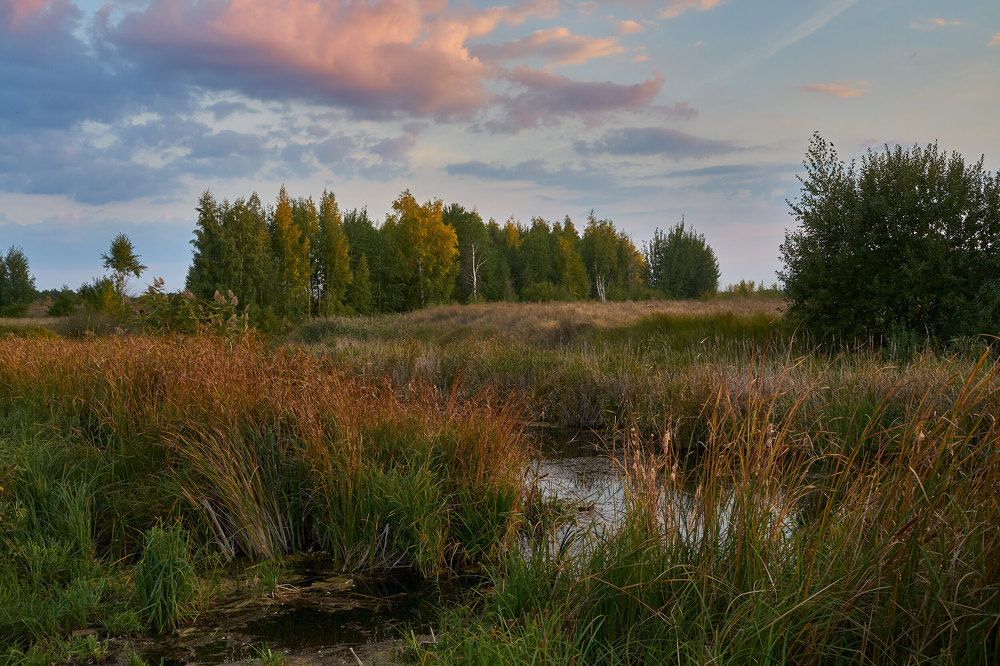 Фотография автора Виктор Долматов