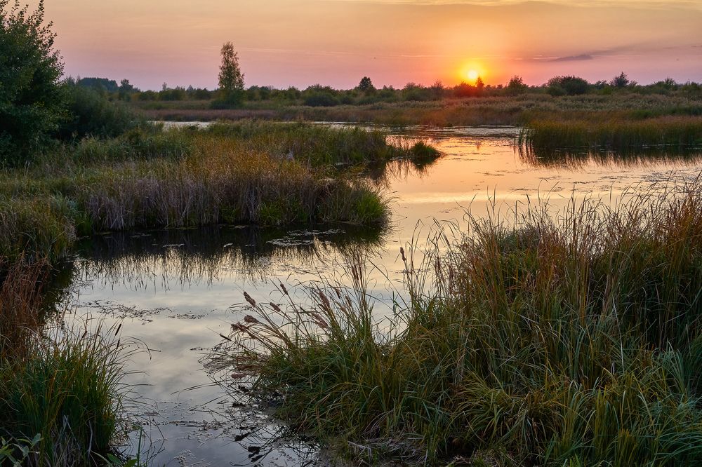 Фотография автора Виктор Долматов