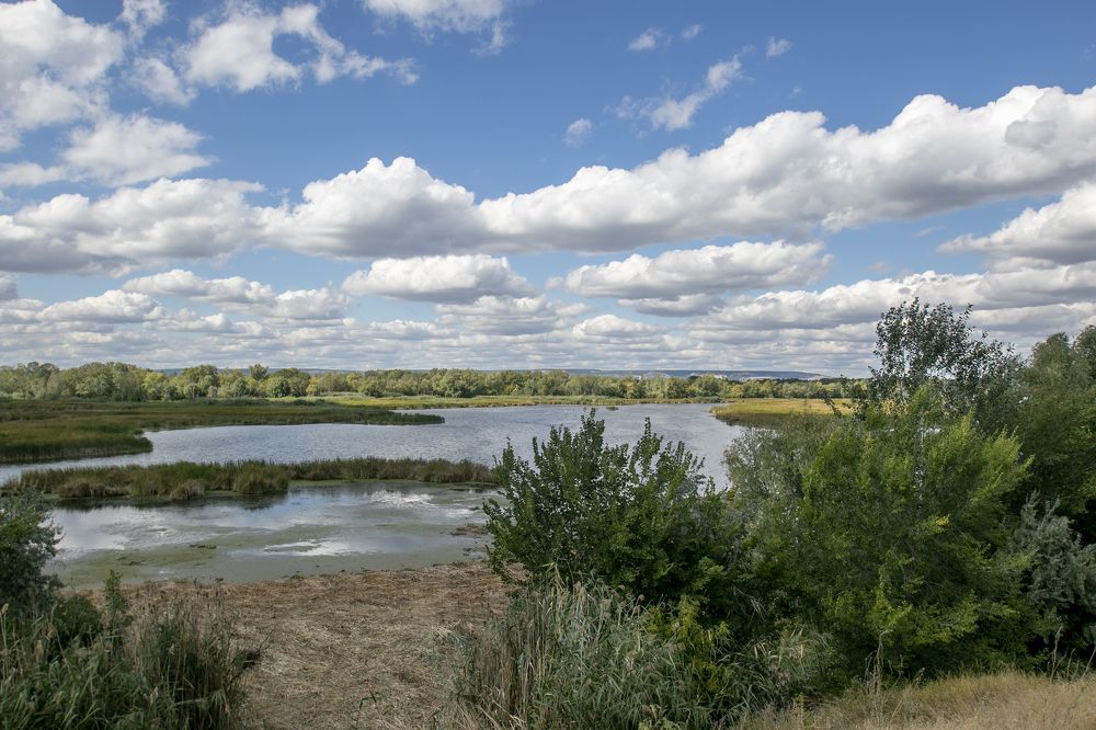 Волжские просторы