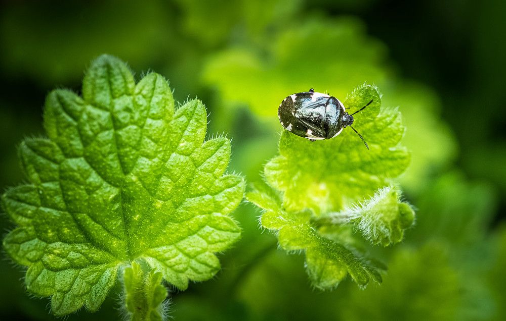 Photograph by Евгений Перемышлев