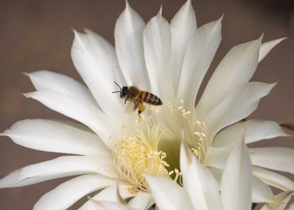 Фотография автора Александр Кротков