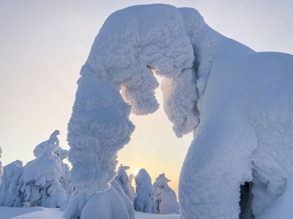 Неслон