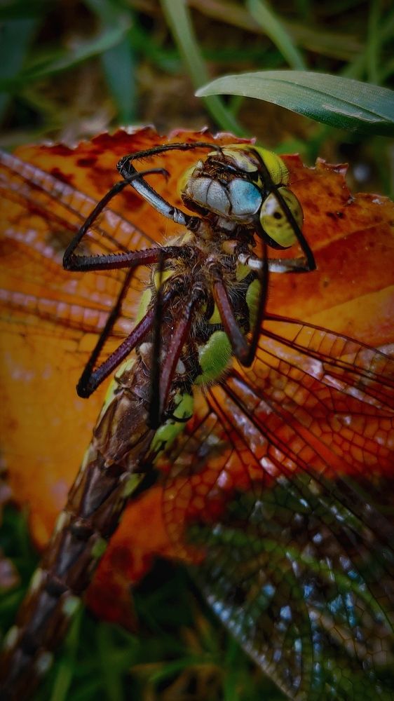 Photograph by Сергей