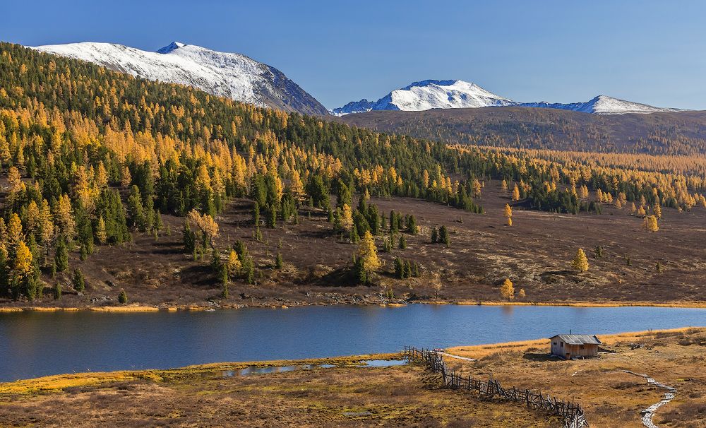 КДЦ Застава