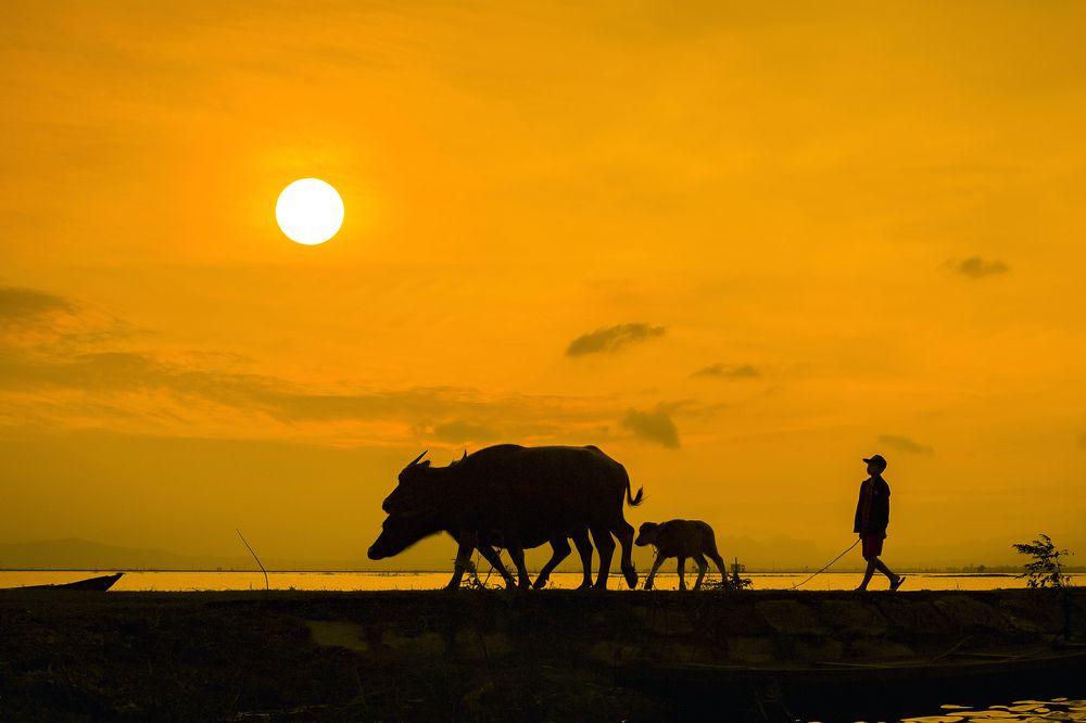 Photograph by NGUYEN HAI