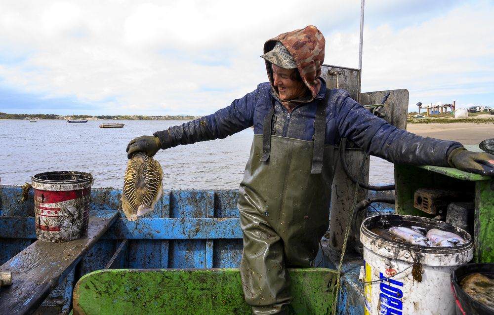 Passion and pain at artisanal fishing