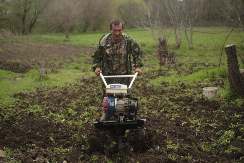 Photograph by Екатерина