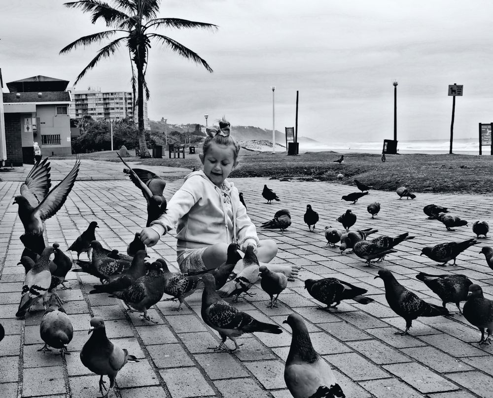 Photograph by Priscilla Dippenaar