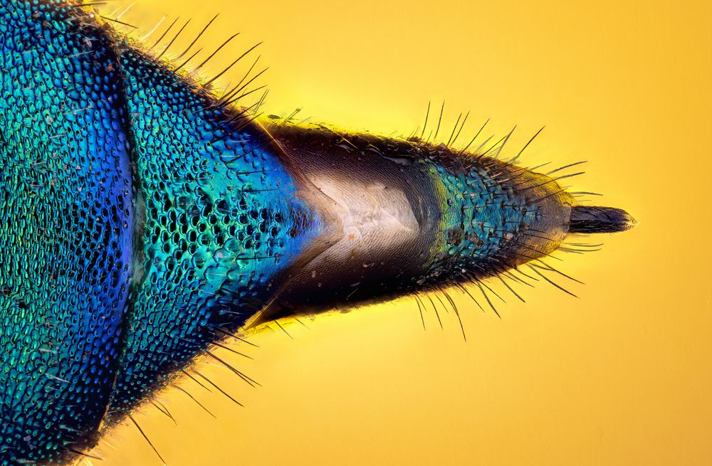 Photograph by André Luiz Araújo