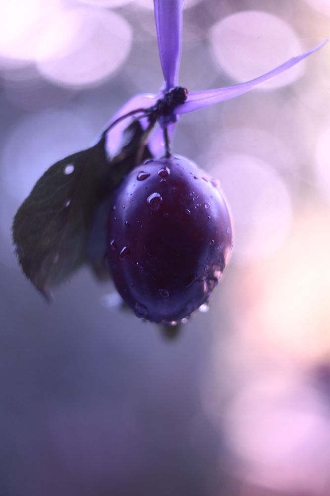 Photograph by Milla Luca