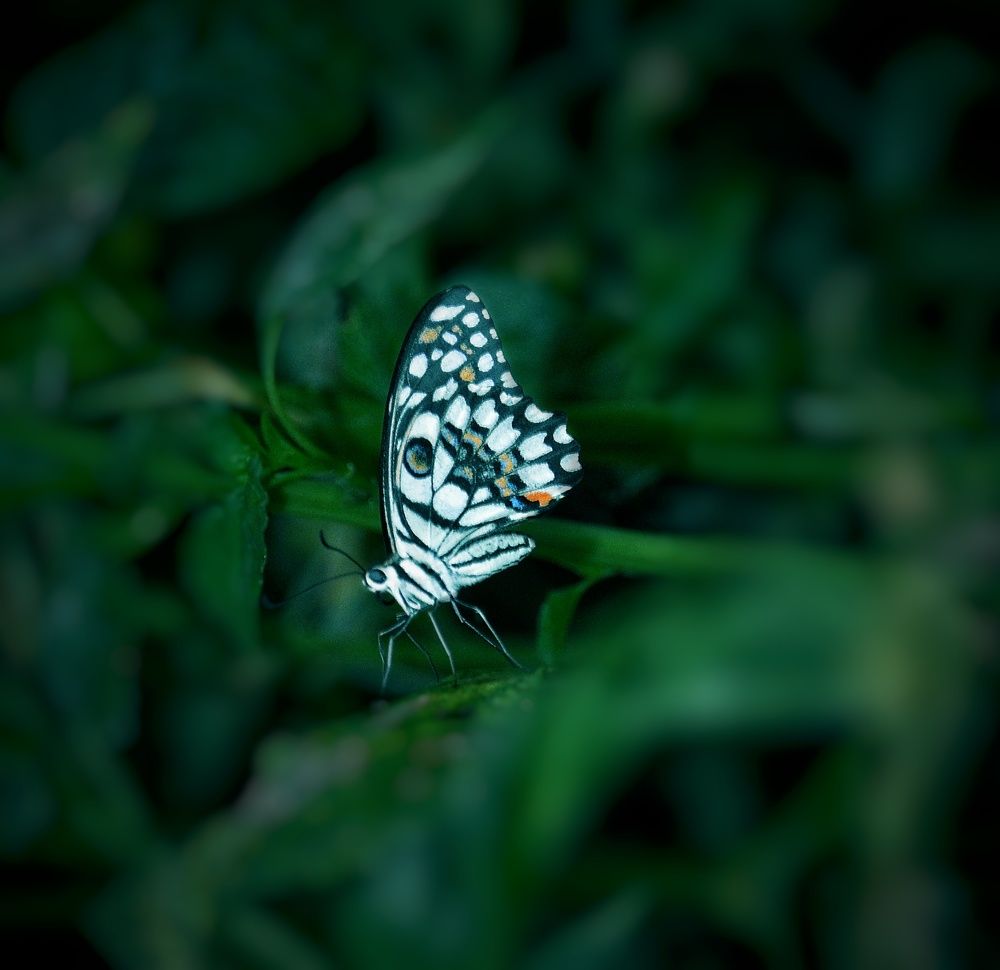 Фотография автора Venkatesh Rao