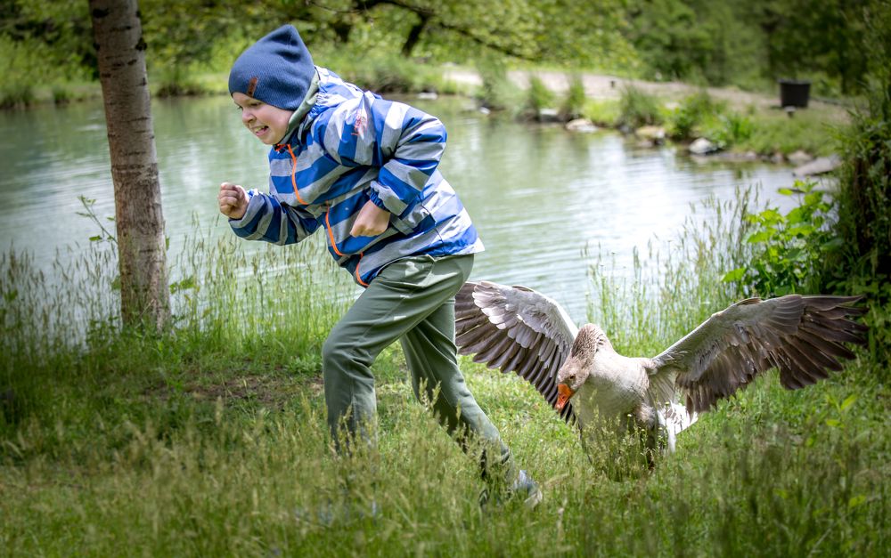Photograph by Евгения Бочарова