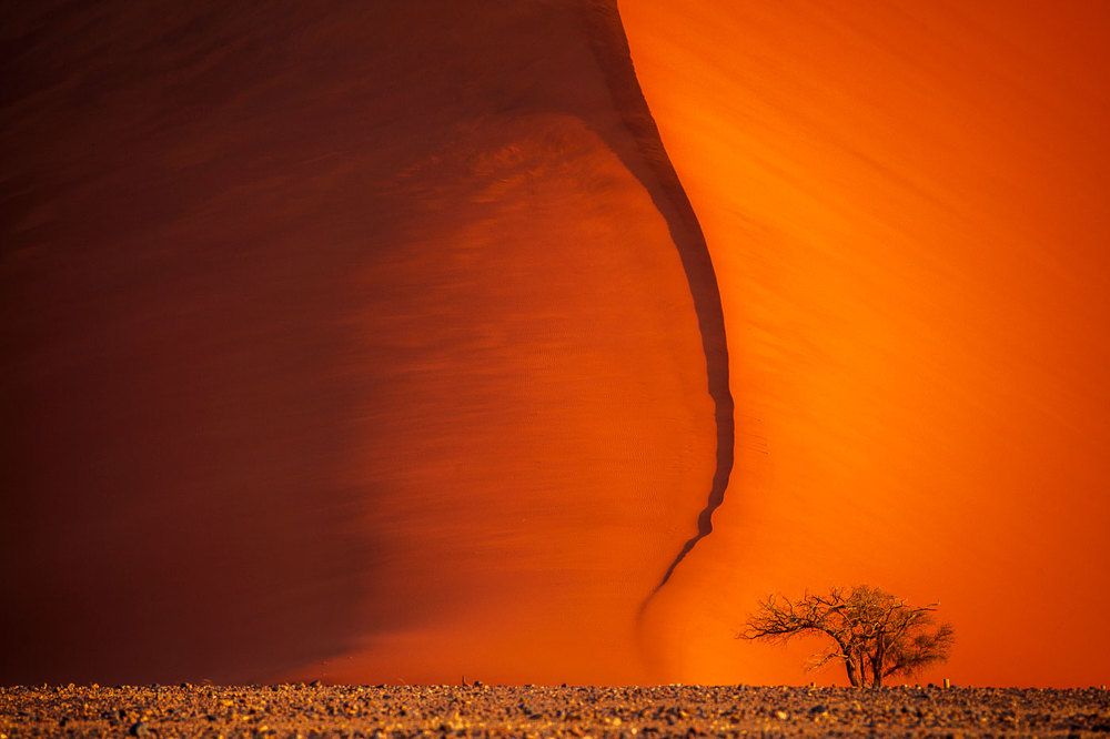 Photograph by Eduardo Fuster Salamero