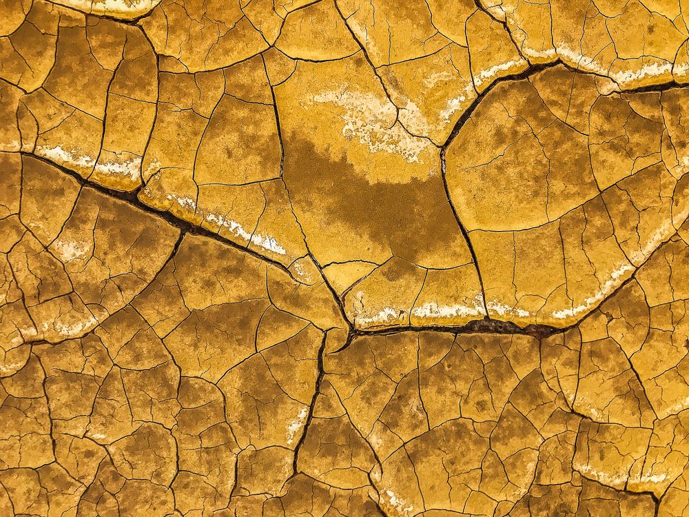 Photograph by Eduardo Fuster Salamero