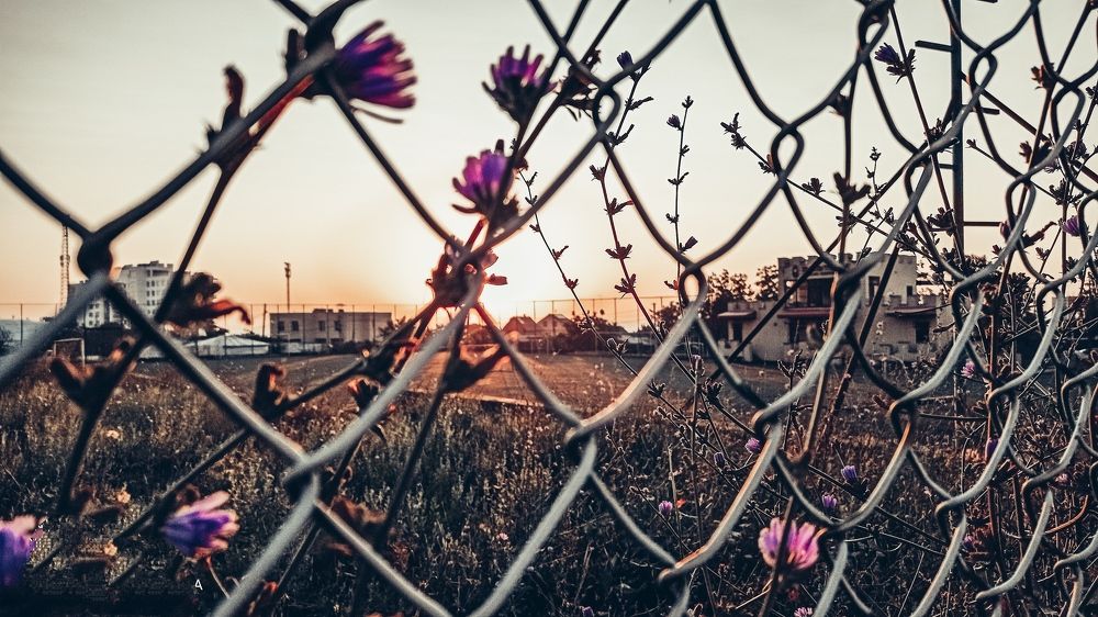 Фотография автора Карина Гурова