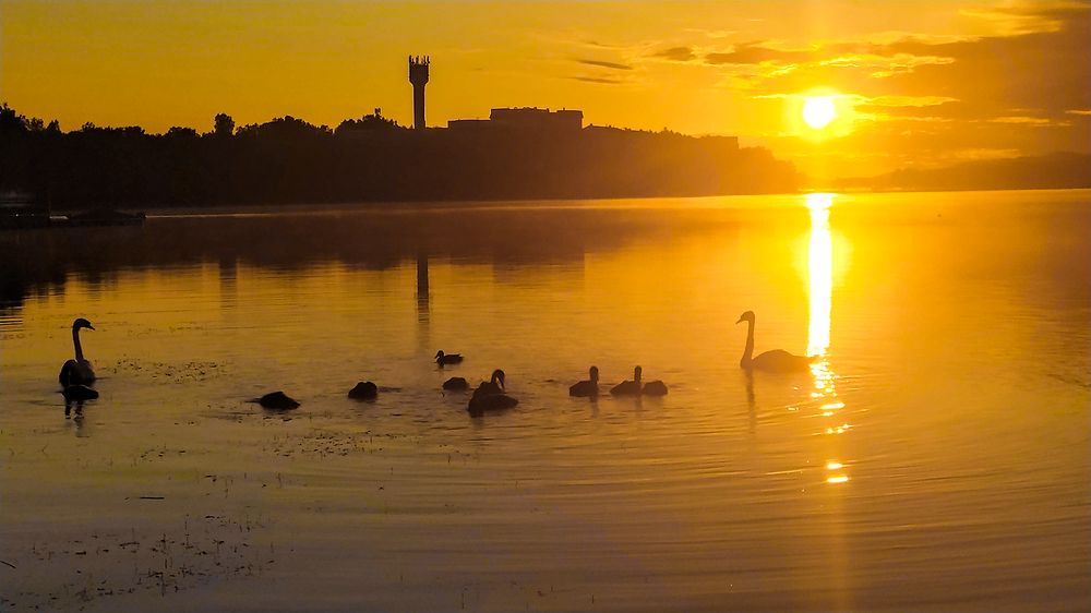 Photograph by Сергей Шварцман