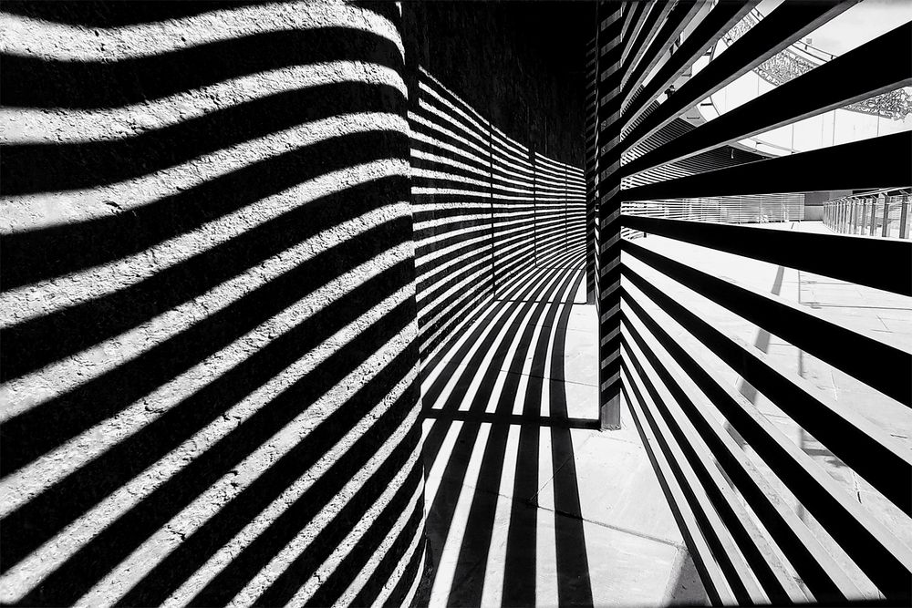 Photograph by Neda Kazemifard