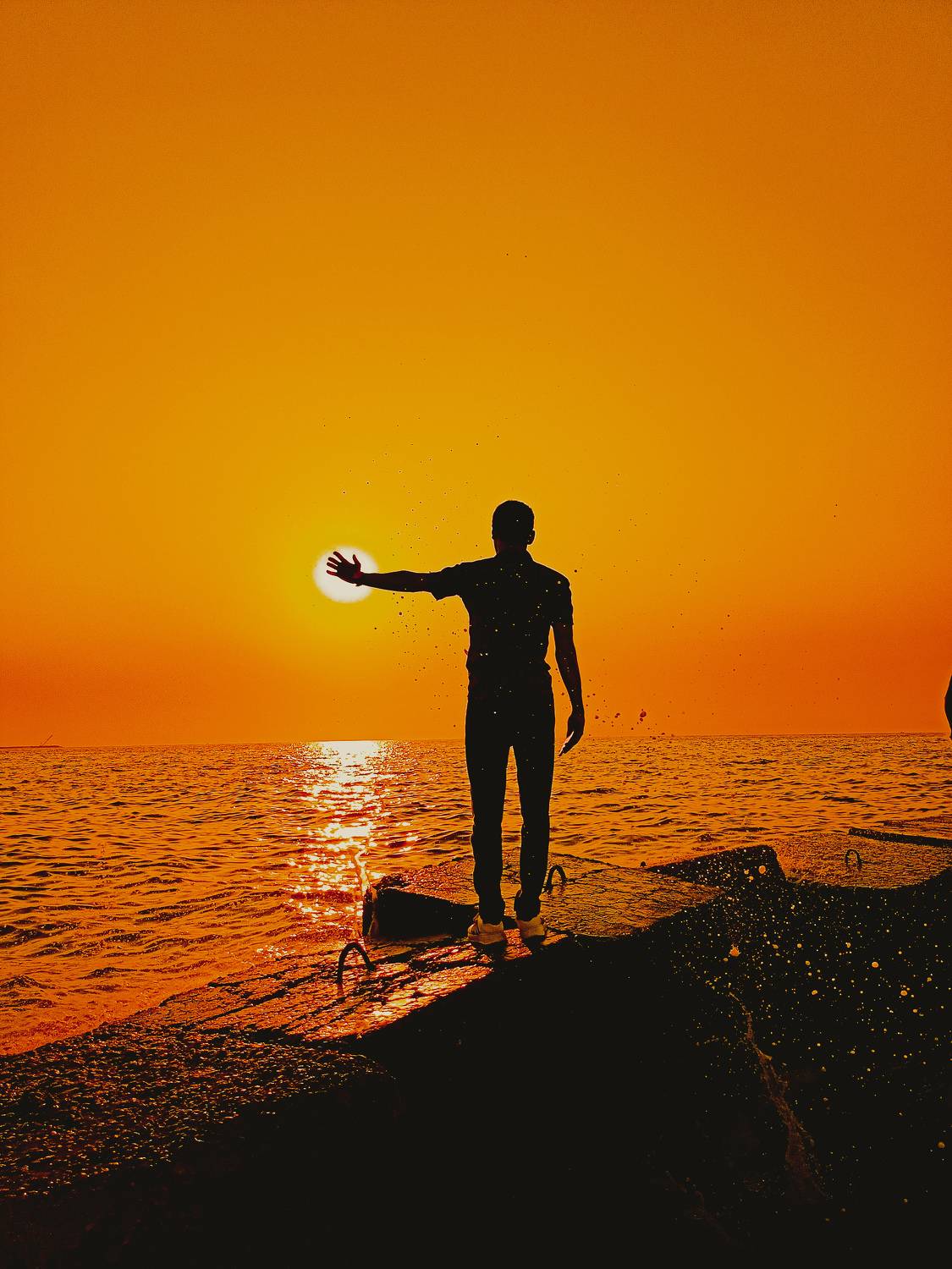 Photo #6486415