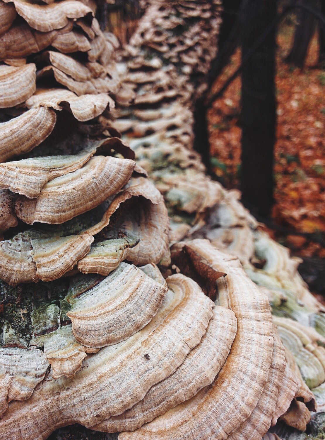 Photo #6486452