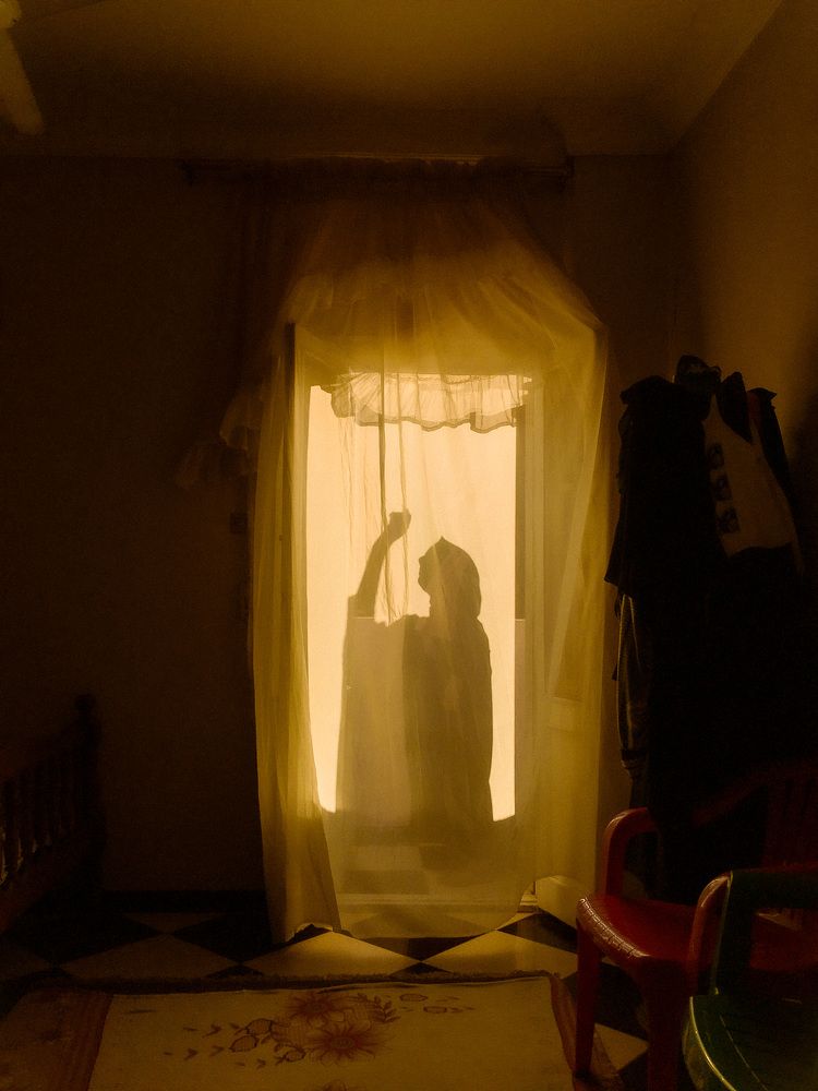 Photo #6486475