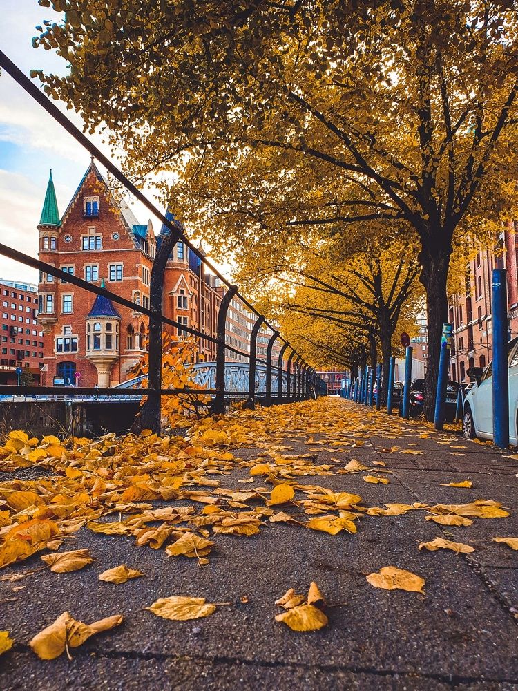 Photograph by Ahmed Rahal