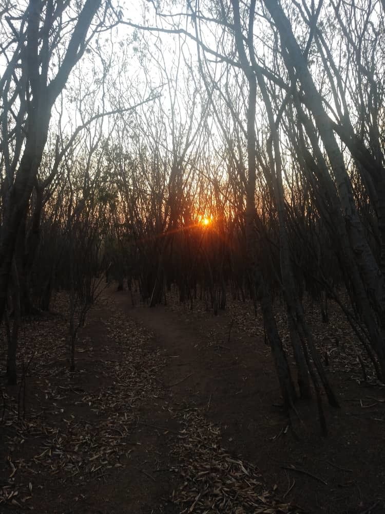 Photograph by Albert Chenza