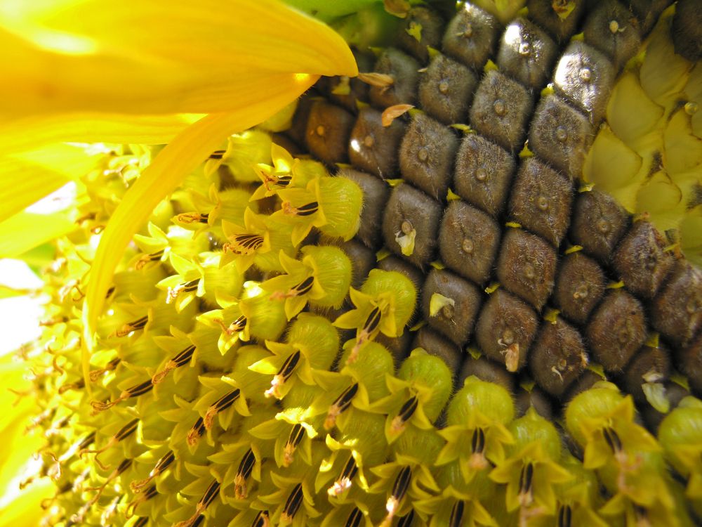 Photograph by Наталья Жигарева