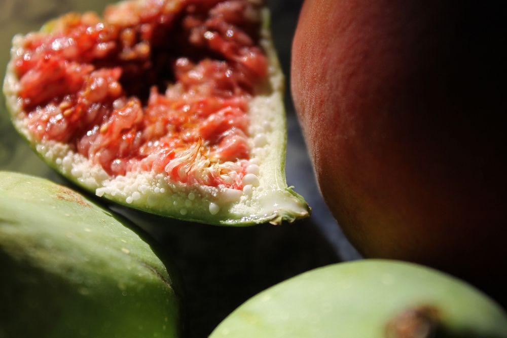 Photograph by Наталья Жигарева