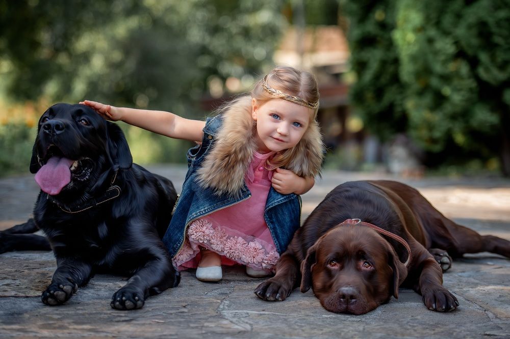 Photograph by Olena Boiko