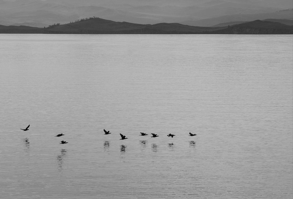 Photograph by Анастасия Скворцова