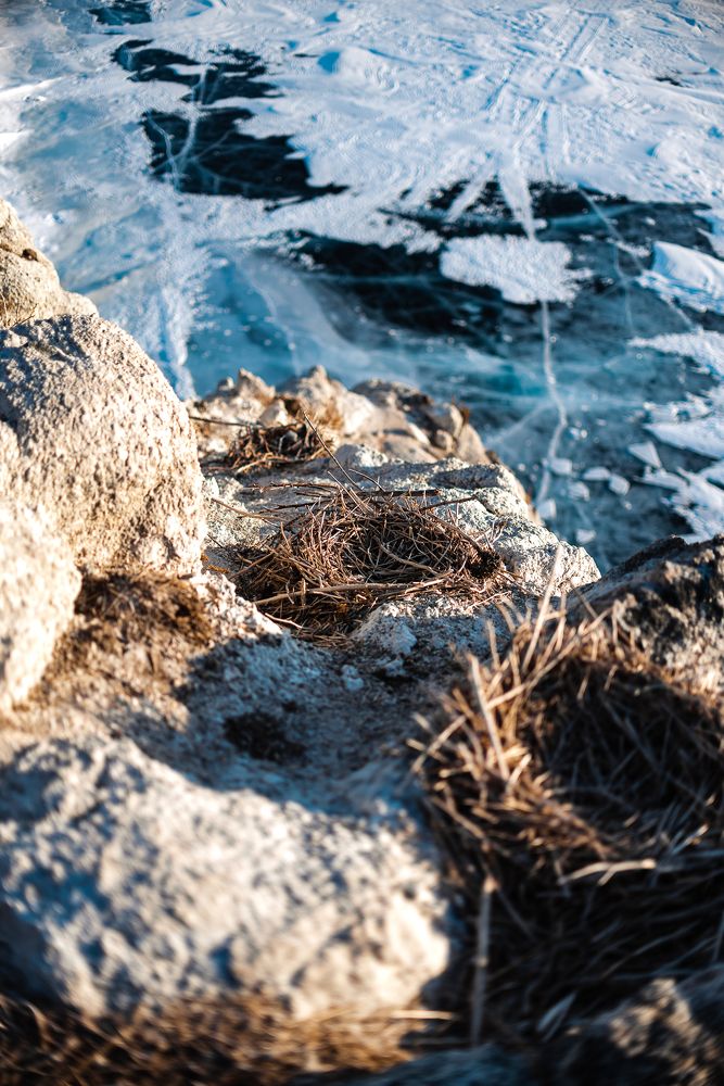 Пустой дом.