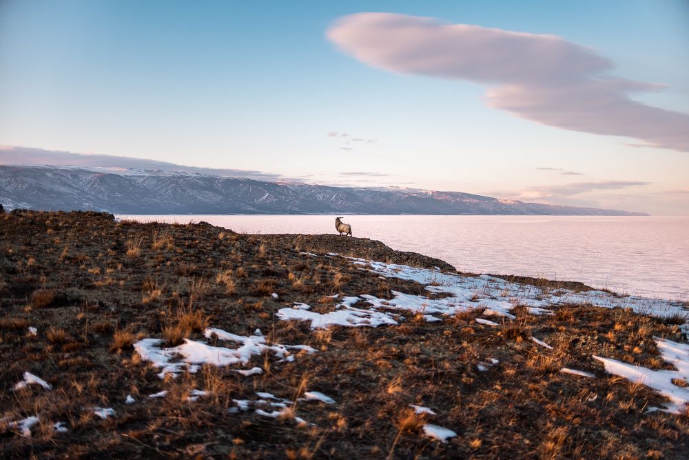 Хозяин острова Замогой