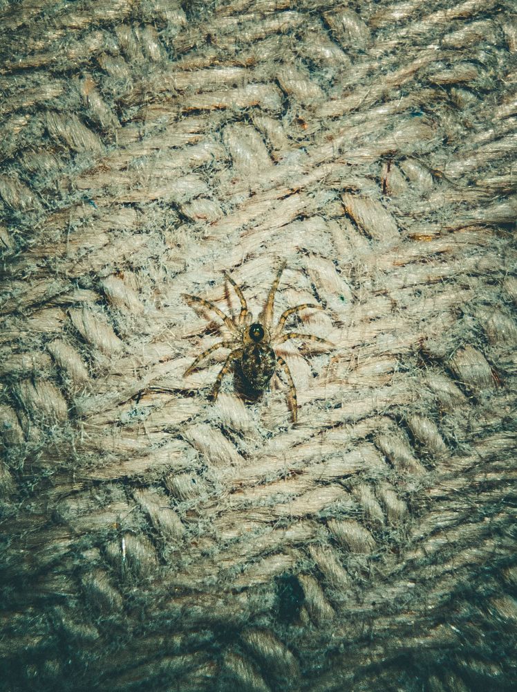 Photograph by Mohammad Mazareiy