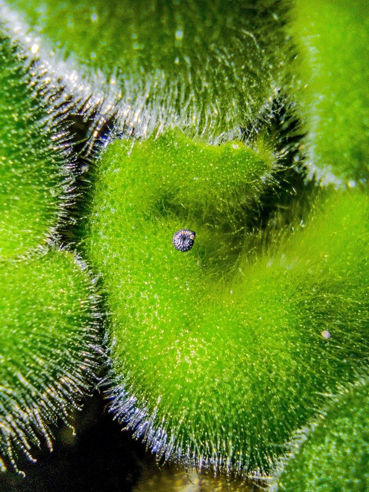 Photograph by Mohammad Mazareiy