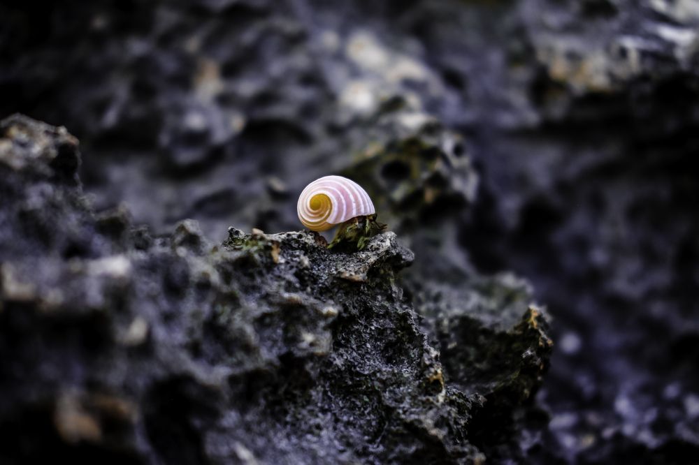 Photograph by firanurfitra