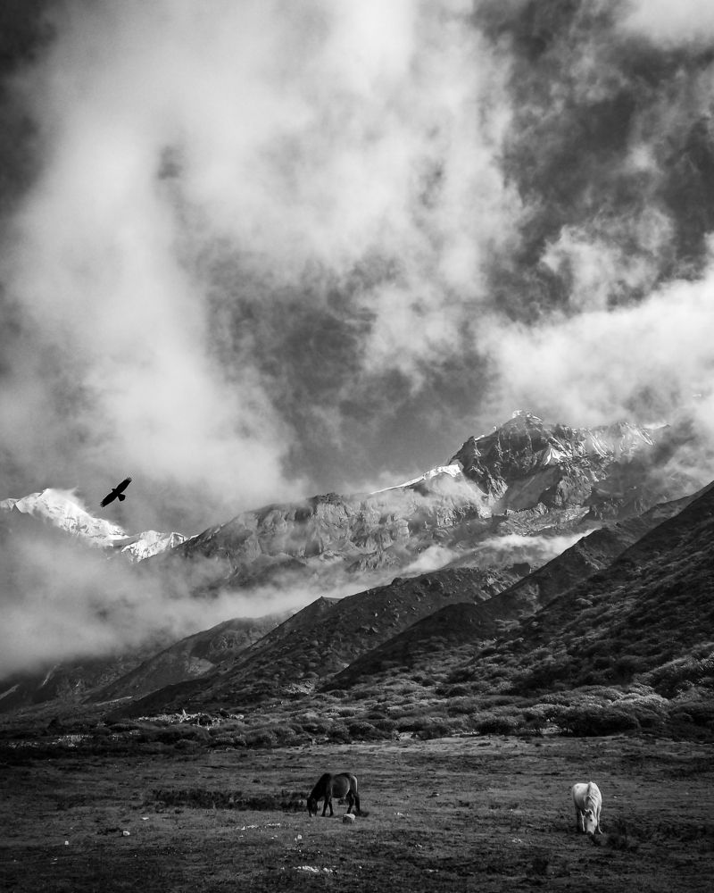 Where Fantasy Meets Reality