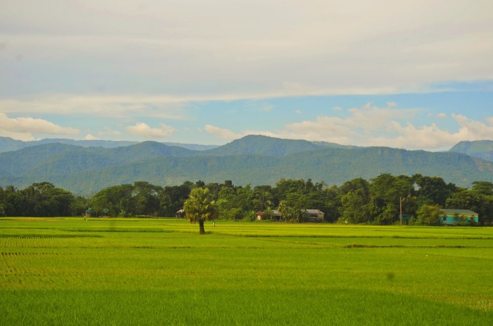 Photograph by Hasan Bodrul