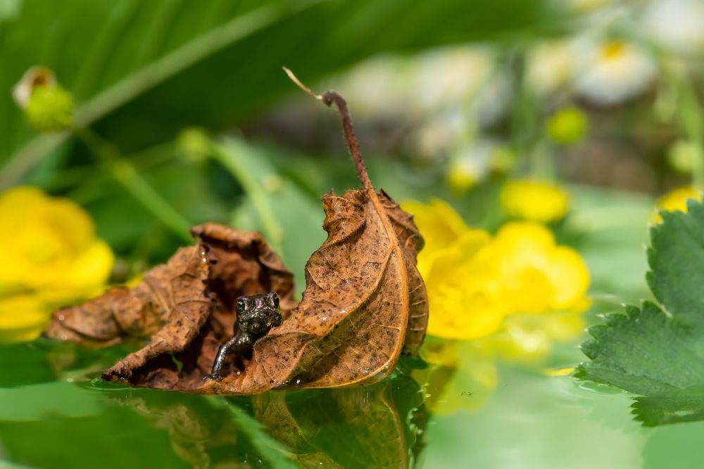 Photograph by Николай Фонарёв