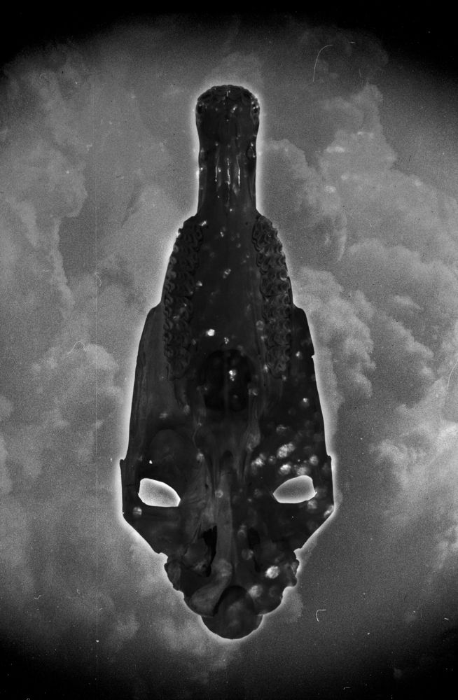 Photograph by Uladzimir Hruzdeu