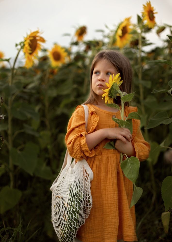 Подсолнухи