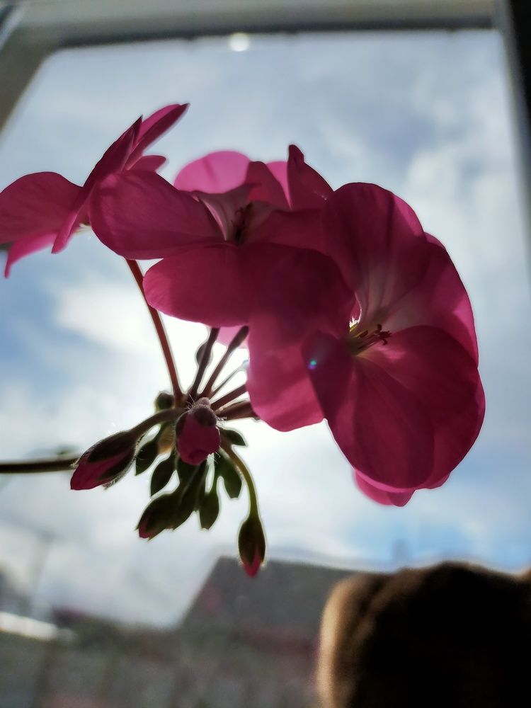 Photograph by Александра