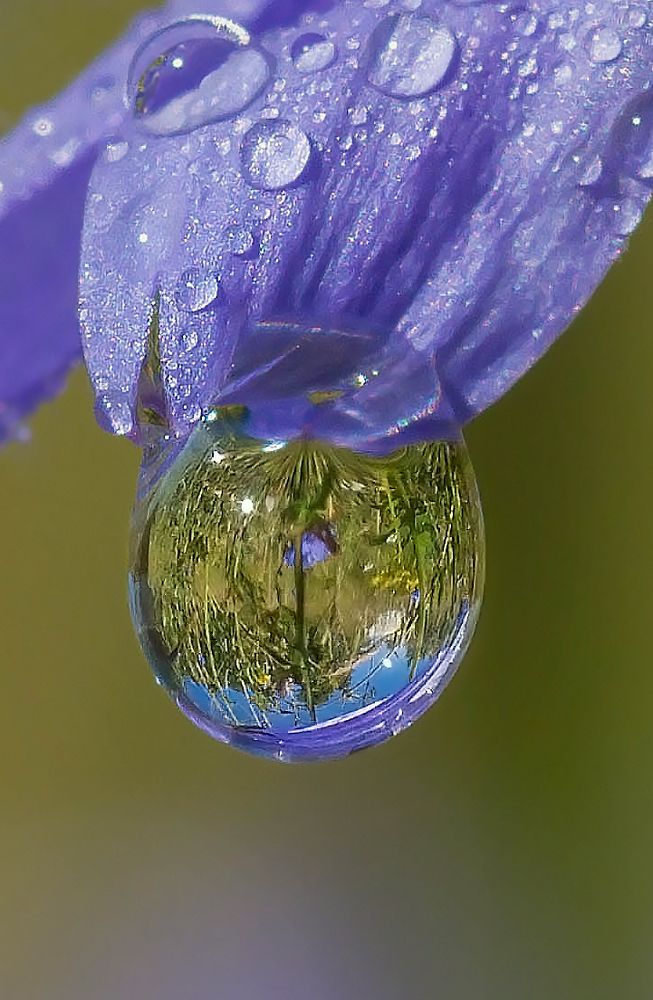 Фотография автора Andrey Pristyazhnyuk