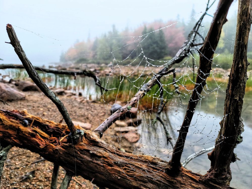 Photograph by Lev Svichar