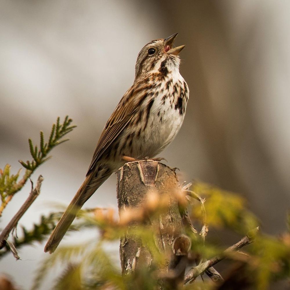 Photograph by Айкез Кадыр