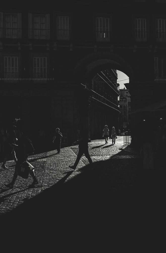 Photograph by Murcia J. A.